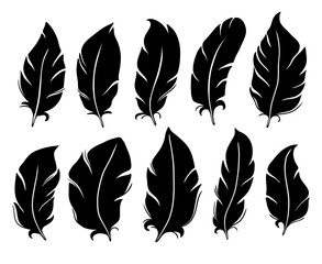 Feather silhouette. Bird wing feathers, lung quill and vintage pen isolated vector illustration set