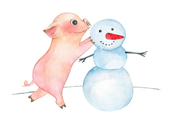 Watercolor funny piglet