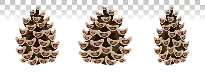 Pine cone set. Botanical  vector illustration. Isolated pinecones.  for greeting cards, backgrounds, holiday decor.