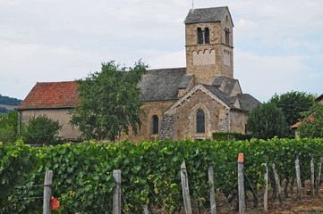 I vigneti  del villaggio di Igè e la Chapelle Domange - Borgogna - Francia