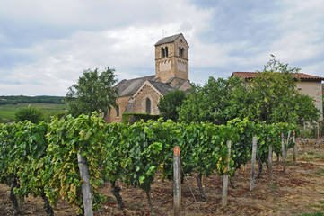 Fototapeta na wymiar I vigneti del villaggio di Igè e la Chapelle Domange - Borgogna - Francia