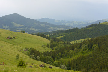 Obraz premium Summer day in the mountains