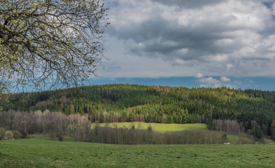 Fototapeta na wymiar Pasture land and meadows near Horni Slavkov town
