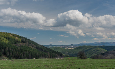 Pasture land and meadows near Horni Slavkov town