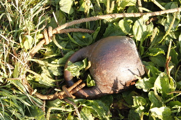 fishing at dawn, hobby, relax. Fishing rod with a catch.