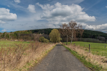Asphalt road near meadows and pasture land in spring day