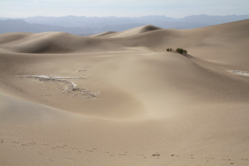 Fototapeta na wymiar Light shadows on the dunes at Death Valley National Park, CA, USA