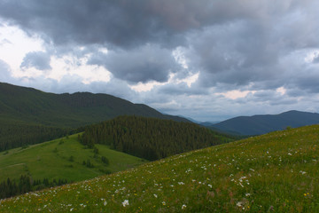 Summer day in the mountains