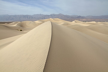 Fototapeta na wymiar Wind blown patterned sand ridge among the dunes at Death Valley National Park, CA, USA