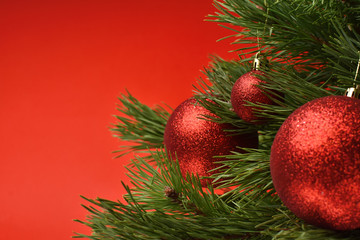 Decorated Christmas tree branches on red background. Christmas background with free space