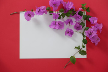 Mock-up white paper with space for text on red background and flower.