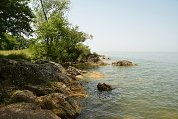 Fototapeta premium bank of the Dnieper River