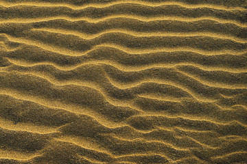 coast and sand shapes