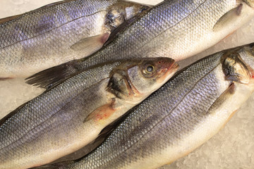 fresh fish on ice