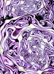 Obraz premium Closeup cut of red cabbage. Abstract violet white background with smooth lines