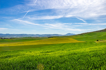 Green May landscape on the Camino de Santiago, Way of St. James near Zariquiegui in Navarre, Spain