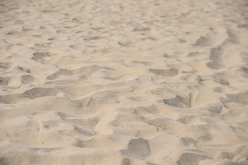 Beach sand with narrow depht of field