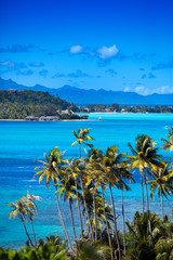 Blue lagoon of island Bora Bora, Polynesia. Mountains, the sea, palm trees.
