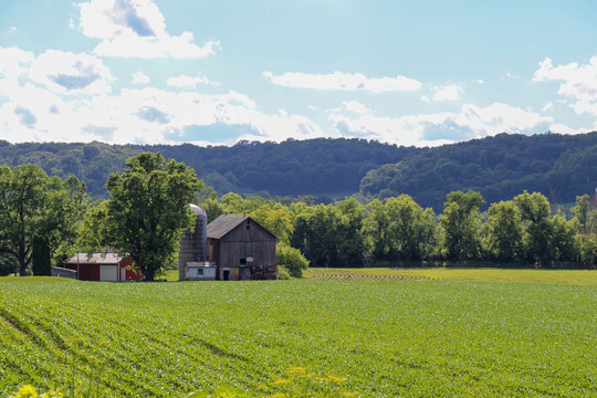 an old red barn and grain silo with a green field in foreground and trees and gently rolling hills in background