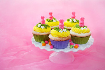Easter cupcakes. Angel food cake with vanilla frosting and a candy bunny.