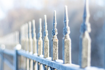 Frozen steel peaks of a fence with hoarfrost