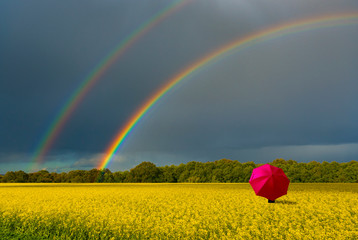 Approaching thunderstorm to the field with flower of rape plant that is common agriculture scene in Europe, rape plants are being grown basically for biofuel as green and alternative source of energy