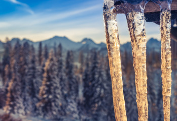 Icicles on wooden roof, Tatra mountains at winter morning