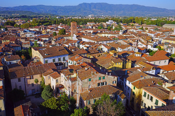 Landscape view of the rooftops in Lucca, a historic city in Tuscany, Central Italy, seen from the top of the landmark Torre Guinigi tower