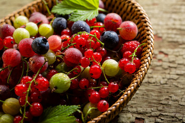 Mixed summer berry  in basket on green background