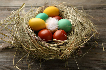 Easter color eggs holiday concept