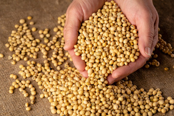 Soybeand harvesting concepts