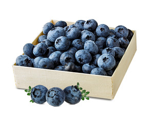Fresh blueberries in a box isolated on white background with clipping path