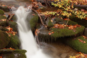 Obraz na płótnie Canvas Mountain stream in autumn