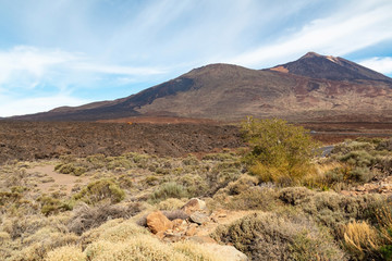 Fototapeta na wymiar Mountain Teide Tenerife