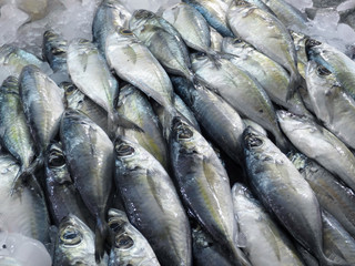Fresh fish in the eastern market.
