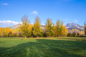 Pradera rodeada de arboleda otoñal y montañas en segundo plano