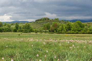 Fototapeta na wymiar Paisaje primaveral con praderas, arboledas y loma o cerro en la ribera de un rio