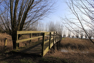 an old bridge over water in a nature reserve in winter