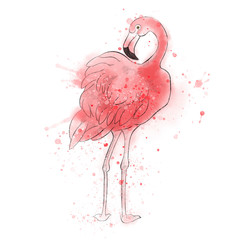 Standing beautiful flamingo, watercolor