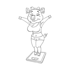 Black and white illustration of cute female pig with pleased face in a fitness sportswear standing on floor scales.  Funny cartoon character....