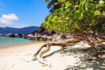 Travel Thailand. Idyllic Exotic Thai beach with turquoise water, palm trees and long tail boats - favourite tourist attraction. Popular tourist holiday/vacation destination. Bright colours. 