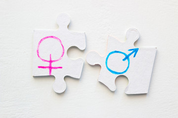 puzzle pieces with gender symbols. concept equality