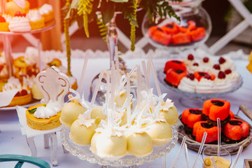 Festive table with loads of cakes, cupcakes, cookies and cakepops at the wedding. Delicious colorful sweets on candy buffet.