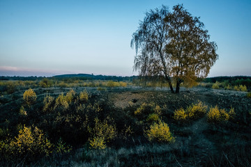 Landschaft im Herbst