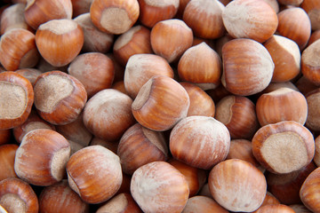Hazelnut close up. Hazelnut background.