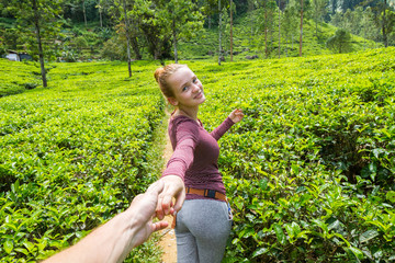 A girl with a leaf of tea at Tea plantation, Ceylon. Landscapes of Sri Lanka