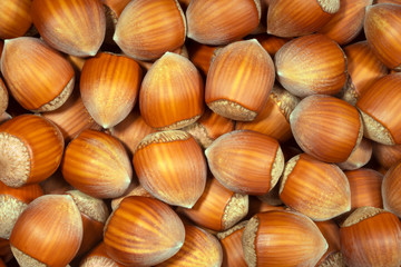 Hazelnut close up. Hazelnut background.