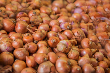 Pile of onions background.