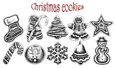 Vector illustration of sketch hand drawn set Christmas cookies with candy. Gingerbread man, snowflake, sock, Christmas tree, star, snowman, deer. Christmas vintage design of traditional holiday food.