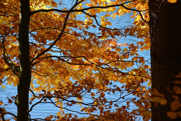 Indian summer. Beautiful nature in the Carpathians. Lake Synevyr
